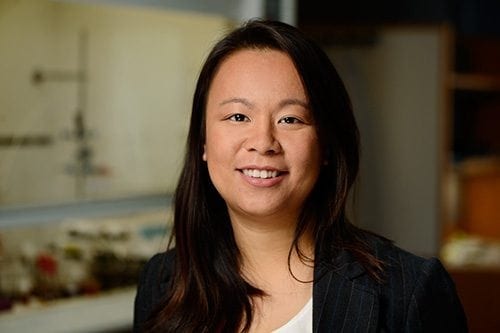 ROSEI Affiliated Researcher Q&A: Sara Thoi, Assistant Professor, Department of Chemistry